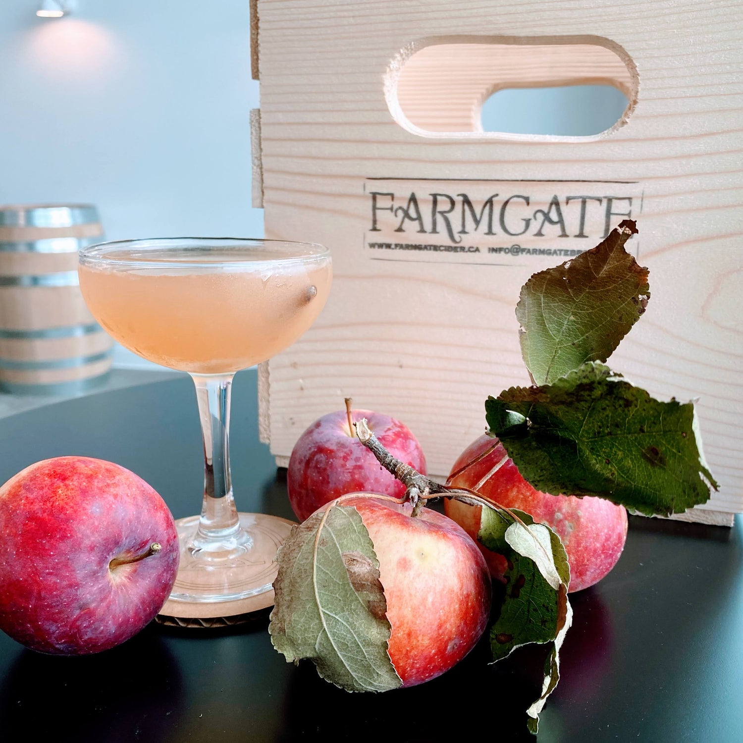 Apple Cider Martini